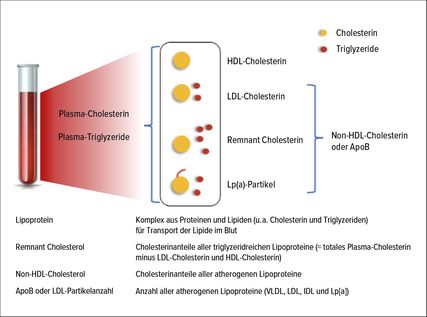 Update Lipidmanagement Kardiologie & Gefäßmedizin Universimed